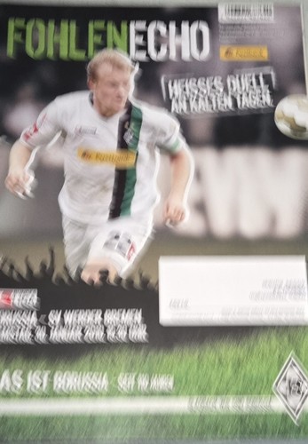 2009 bundesliga borussia - 1.bundesliga,